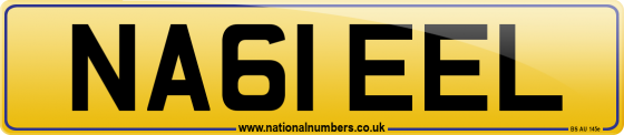 NA61 EEL