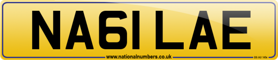 NA61 LAE