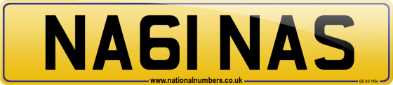 NA61 NAS