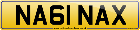 NA61 NAX
