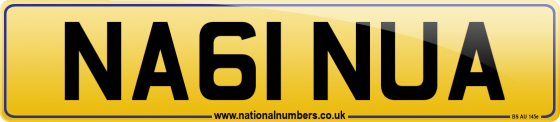 NA61 NUA