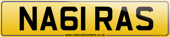 NA61 RAS