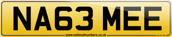 NA63 MEE