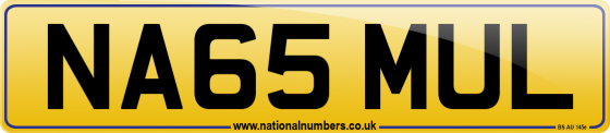 NA65 MUL