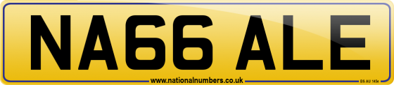 NA66 ALE