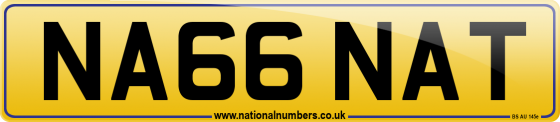 NA66 NAT
