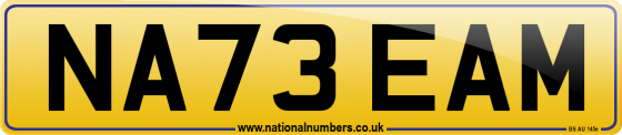 NA73 EAM