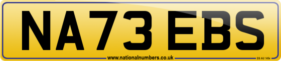 NA73 EBS