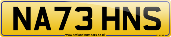 NA73 HNS