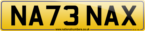 NA73 NAX