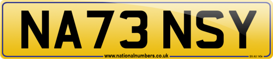 NA73 NSY