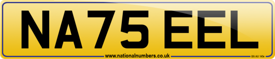 NA75 EEL
