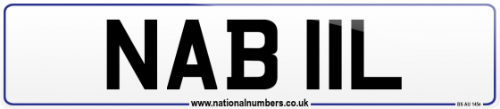 NAB 11L