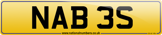 NAB 3S