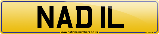 NAD 1L