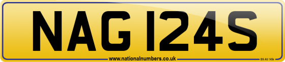 NAG 124S