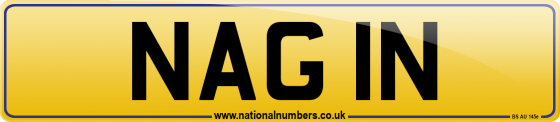 NAG 1N