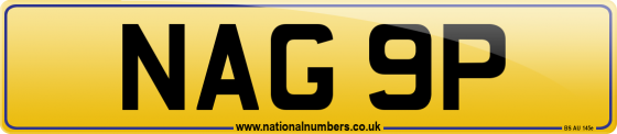 NAG 9P
