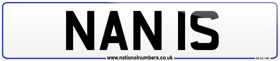 NAN 1S