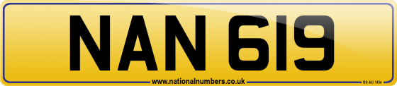 NAN 619