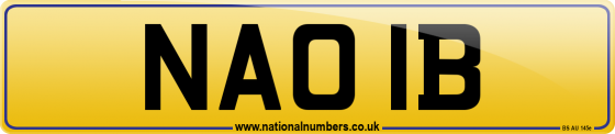 NAO 1B