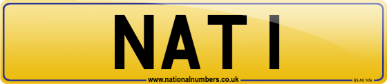 NAT 1