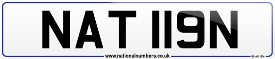 NAT 119N