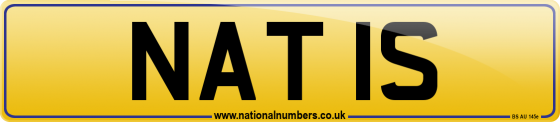 NAT 1S