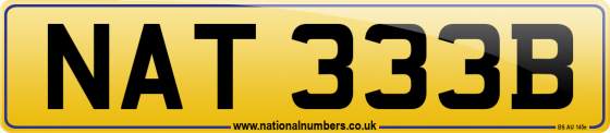 NAT 333B