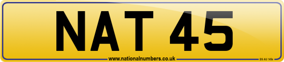 NAT 45