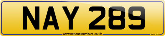 NAY 289