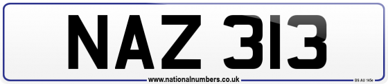 NAZ 313