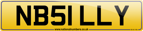 NB51 LLY