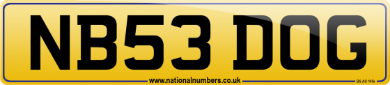 NB53 DOG