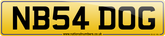 NB54 DOG