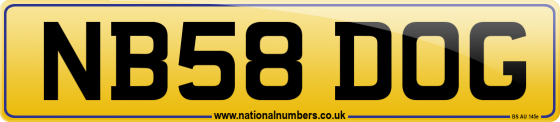 NB58 DOG