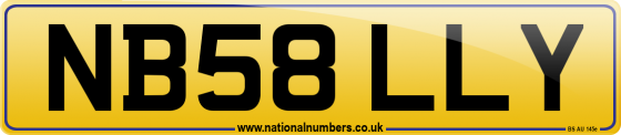 NB58 LLY