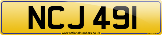 NCJ 491