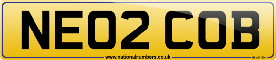 NE02 COB