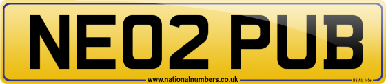 NE02 PUB