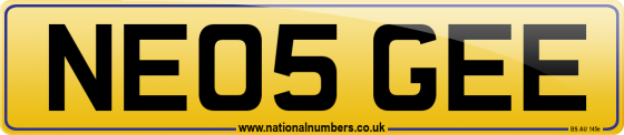 NE05 GEE