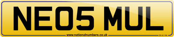 NE05 MUL