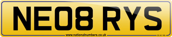 NE08 RYS