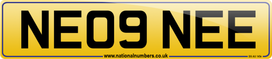 NE09 NEE