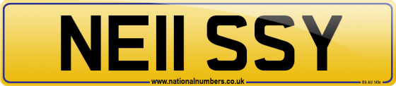 NE11 SSY