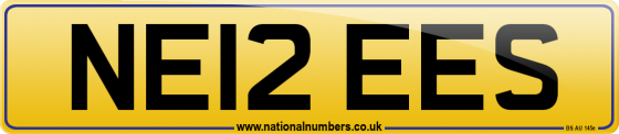 NE12 EES