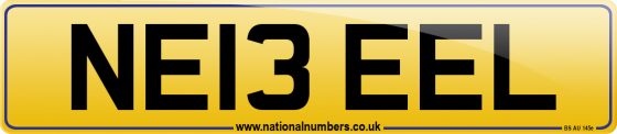 NE13 EEL