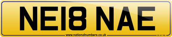 NE18 NAE