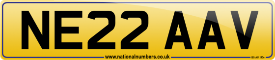 NE22 AAV