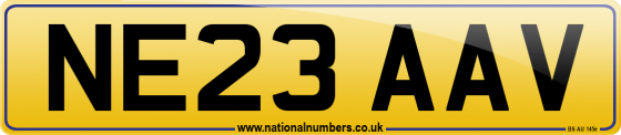 NE23 AAV